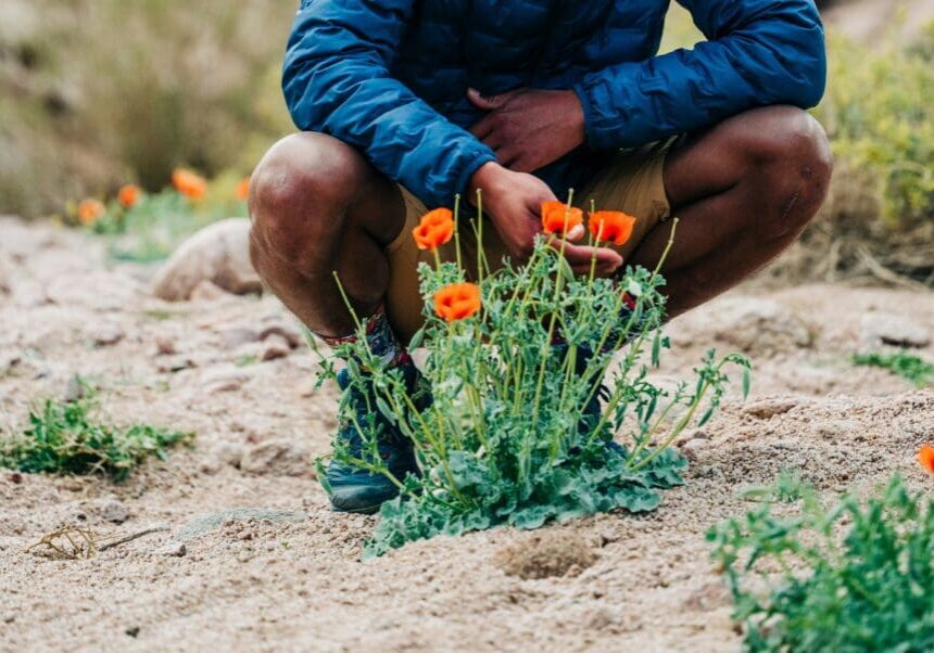 Man crouching next to orange flowers growing in dirt